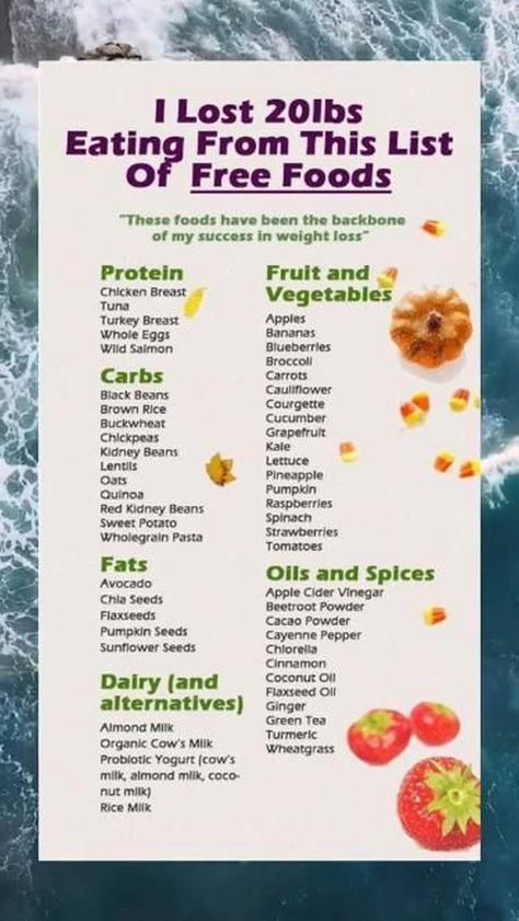 The Mindful Plate: Creating Harmony Through Balanced Eating Apple Turkey, Pumpkin Quinoa, Salmon And Broccoli, Protein Fruit, Sweet Potato Spinach, Beetroot Powder, Red Kidney Bean, Lose 20 Lbs, Banana Blueberry