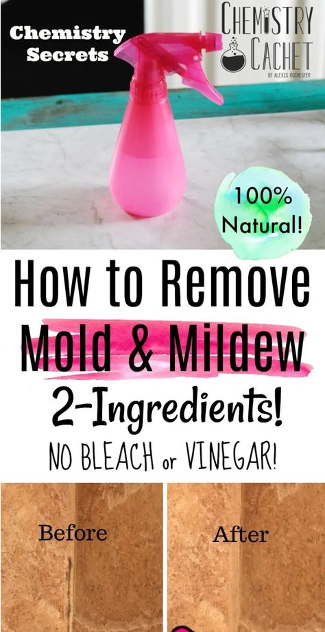 The Best Way to Remove and Clean Mold & Mildew with 2 Ingredients. NO bleach or vinegar! Completely natural and very effective for all parts of your home! This homemade cleaning spray will disinfect the area naturally while killing mold or mildew in your bathroom. How To Remove Mold, Remove Mold, Homemade Toilet Cleaner, Clean Baking Pans, Mold In Bathroom, Mildew Remover, Cleaning Mold, Cleaning Painted Walls, Bathroom Walls