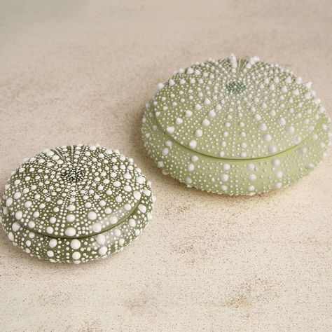 Sea Love Porcelain Container Deco Marine, Ceramic Boxes, Beach House Interior, China Painting, Sea Urchin, Beach Houses, Ocean Inspiration, Beach Cottages, Beach House Decor