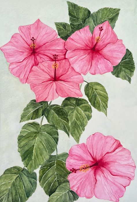 Beautiful and vibrant pink Hawaiian hibiscus painting! This 9in x 12in with 1 inch borders would look gorgeous in a costal themed home. Tropical Flower Painting Easy, Organic Painting, Hibiscus Painting, Hibiscus Drawing, Hibiscus Watercolor, Hibiscus Flower Drawing, Hibiscus Art, Hawaiian Hibiscus, Flower Art Drawing