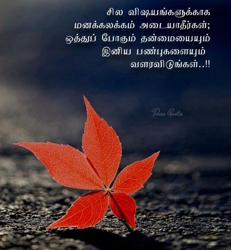 Tamil Wishes, Tamil Motivational Quotes, Good Morning Friends Quotes, Photo Album Quote, Tamil Quotes, Morning Friends, Good Morning Friends, Motivational Quotes For Life, Quotes For Life