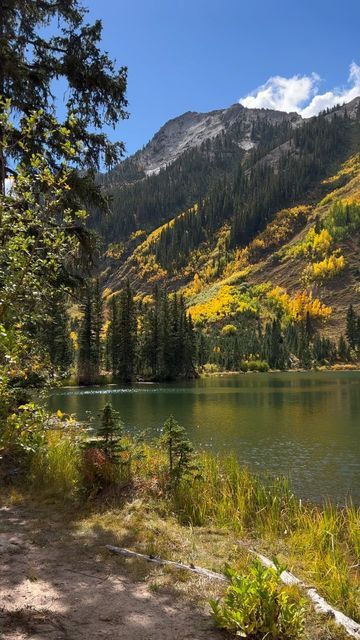 Colorado In Fall, Fall In Colorado, Colorado Hiking Trails, September Mood, Lace Photography, Dream Holidays, Road Trip To Colorado, Mountain Aesthetic, Colorado Fall