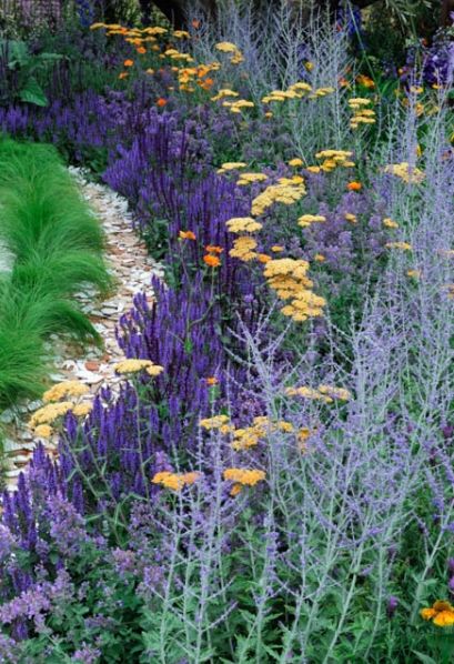 perennial border with salvia, common yarrow and russian sage Yarrow In Garden, Vinca Border, Perennial Salvia Plant, Sage Garden, Butterfly Garden Design, The Secret Garden, Planting, Perennial Border, Low Maintenance Landscaping