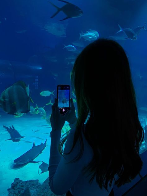 Aquarium Photos, Aquarium Pictures, Wallpaper Disney, Shotting Photo, 사진 촬영 포즈, Foto Poses, Selfie Ideas Instagram, Foto Ideas Instagram, Ideas For Instagram Photos