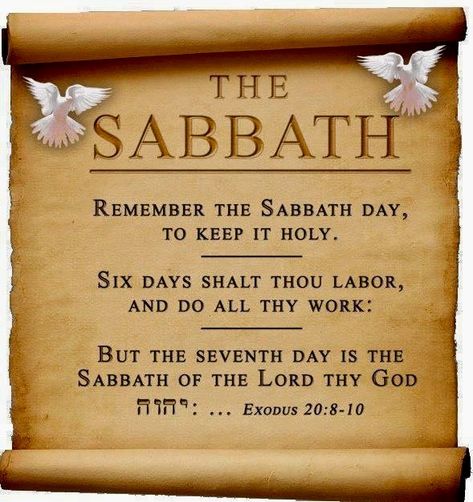 The Word of God in the 4th Commandment to keep holy the seventh day Jewish Sabbath, Happy Sabbath Quotes, Jewish Bible, Sabbath Quotes, Shabbat Shalom Images, Sabbath Rest, Jewish Celebrations, Happy Sabbath, Sabbath Day