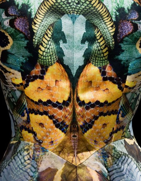 Detail Couture, Savage Beauty, Sarah Burton, Print Inspiration, Fashion Pattern, Inspired Dress, Textile Prints, Atlantis, Snakes