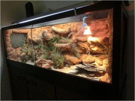 Wuestenterrarium Bearded Dragon Terrarium Ideas, Leopard Gecko Habitat, Lizard Habitat, Diy Reptile, Bearded Dragon Diy, Bearded Dragon Terrarium, Bearded Dragon Enclosure, Snake Enclosure, Bearded Dragon Habitat