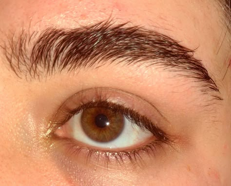 Thick Brown Eyebrows, Dark Thick Eyebrows, Thick Dark Eyebrows Natural, Brown Eyes Reference, Guy Eyebrows, Thick Eyebrows Aesthetic, Low Set Eyebrows, Thick Eyebrows Men, Thick Eyebrows Natural