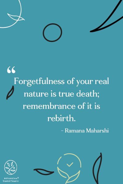 Rebirth Quotes, Ramana Maharshi Quotes, Ramana Maharshi, Real Nature, Enjoy The Journey, My Diary, Quote Of The Day, The Journey, Self Help