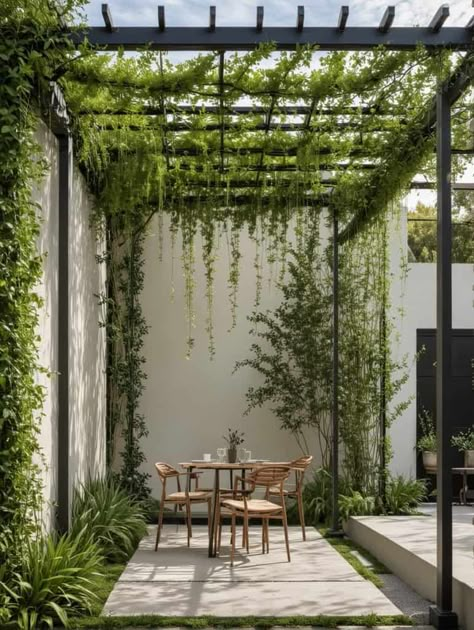 21 Stylish Pergola Ideas for a Modern Outdoor Makeover - Peak Patio Life Pergola Modern Design, Bouganvilla Pergola, Pergola With Plants, Pergola Trellis, Modern Metal Pergola Designs, Diy Modern Pergola Freestanding, Pergola White Modern, Patio Covers, Pergola With Ivy