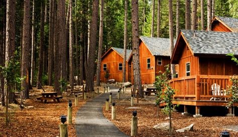 Evergreen Lodge in Yosemite Summer Camp Cabin Layout, Yosemite Valley Lodge, Simple Cabins, Yosemite National Park Lodging, Yosemite Rv Camping, Cozy Grove Campsite, Camping Yosemite, Ahwahnee Hotel, Minimalist Cabin