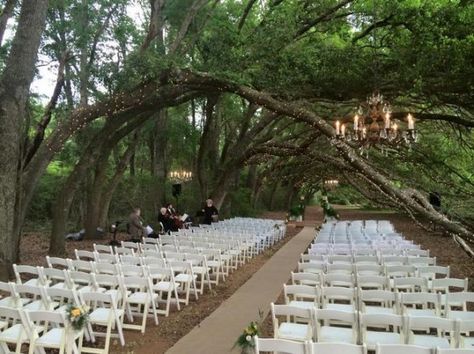 Oak Hollow Farms - Fairhope, Alabama  25 beautiful places to get married in Alabama | AL.com Alabama Wedding Venues, Wedding Destinations, Farm Wedding Venue, Alabama Weddings, Destination Wedding Locations, Places To Get Married, Affordable Wedding Venues, Best Wedding Venues, Wedding Registry