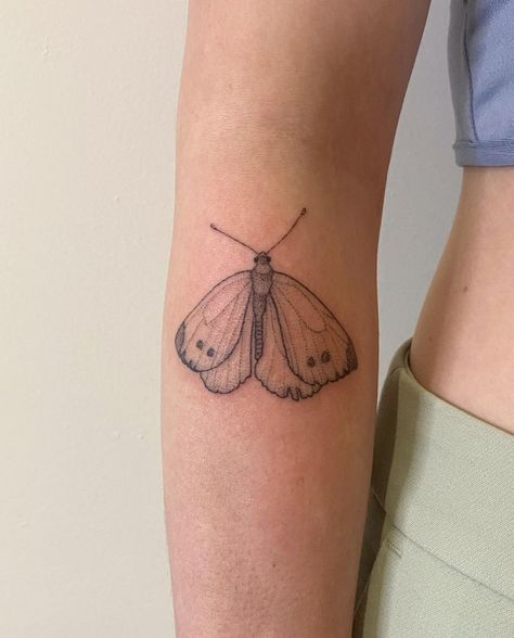 Moth Stick And Poke, Biology Tattoo, Traditional Moth, Moth Tattoo Meaning, Lunar Moth Tattoo, Luna Moth Tattoo, Moth Tattoos, Aesthetic Tattoo Ideas, Moth Tattoo Design