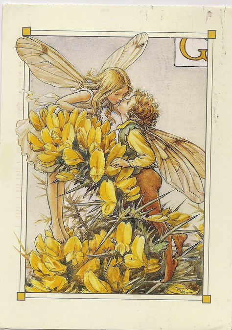 Gorse Fairy Cicely - Google Search Fairy On Flower Drawing, Cicely Mary Barker Fairies, Vintage Fairytale Art Flower Fairies, Flower Fairies Cicely Mary Barker Coloring Pages, Flower Fairies Cicely Mary Barker, Fairy Paintings, Fairy Drawings, Fairy Illustration, Cicely Mary Barker