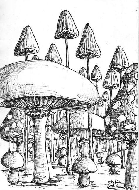 This is incredible الفن الرقمي, 동화 삽화, Mushroom Drawing, Arte Sketchbook, Arte Inspo, Mushroom Art, Trippy Art, 판타지 아트, Sketchbook Art Inspiration