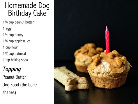 Little Sloth is a lifestyle blog by Carlee Wengel. At Little Sloth you will find everyday life, happening, and other fun stuff along the way. 3 Ingredient Dog Cake, Oatmeal Egg, Dog Birthday Cupcakes, Dog Homemade, Cake Peanut Butter, Dog Birthday Cake Recipe, Dog Cake Recipes, Cake Dog, Butter Cupcakes