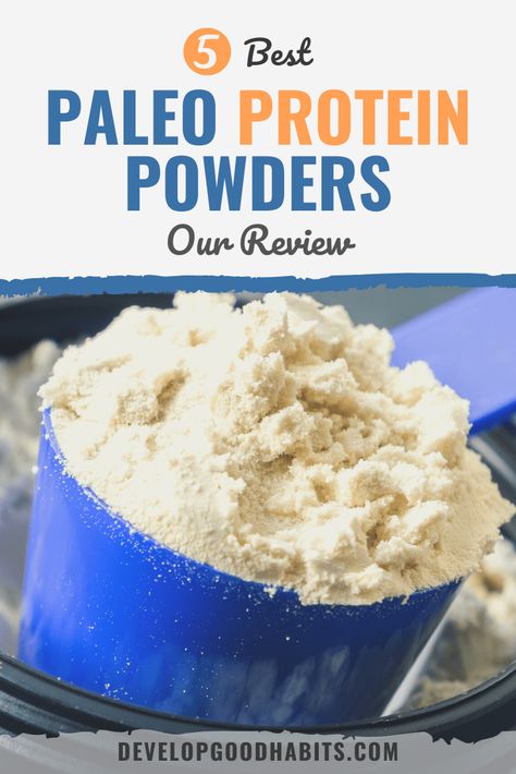 Check out our review on the best paleo protein powders out in the market today and discover what makes them stand out | best paleo protein powder | best paleo protein powder review | best protein powder #paleo #proteinpowder #diet #proteins #developgoodhabits Best Vegan Protein Powder, Paleo Protein Powder, Best Vegan Protein, Paleo Protein, Wrinkle Remedies, Best Protein Powder, Autoimmune Paleo, Vegan Protein Powder, Protein Powders