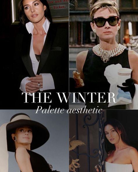 Winter Palette mood board 🖤 . #coloranalysis #winterpalette #truewinter #brightwinter #darkwinter #deepwinter #coolwinter True Winter Aesthetic, Elegant Closet, True Winter Color Palette, Color Seasons, Winter Palette, Colour Analysis, Winter Color Palette, True Winter, Cool Winter