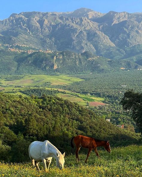 Africa Mountains, Algeria Aesthetic, Tahia Djazair, Oman Tourism, Algeria Travel, Spain Tourism, Algerian Culture, Tropical Travel, Africa Destinations