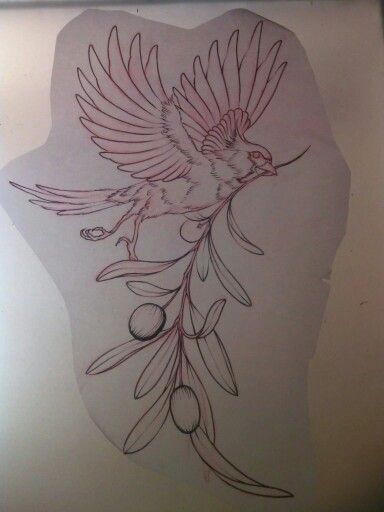 My next Tat.  Cardinal holding an olive branch.  By @tattosbythu @electrichandtattoo Bird With Branch Tattoo, Bird With Olive Branch Tattoo, Dove Holding Olive Branch, Dove Holding Olive Branch Tattoo, Dove Olive Branch Tattoo, Cardinal Tattoo For Men, Dove And Olive Branch Tattoo, Dove With Olive Branch Tattoo, Cardinal Tattoo Design