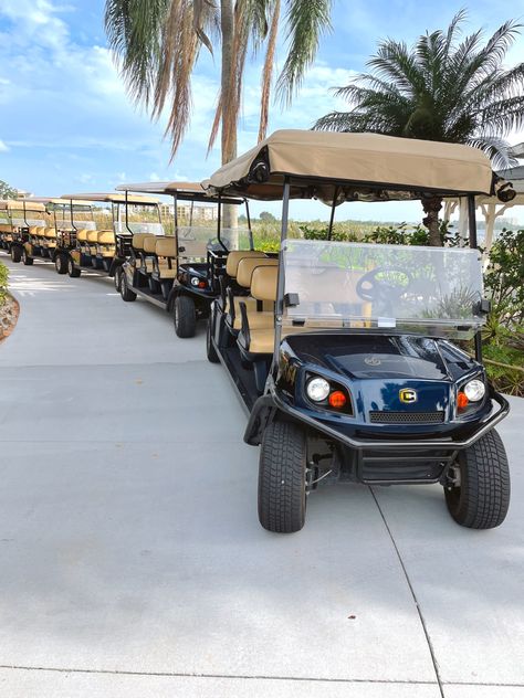 golf cart in florida, aesthetic Aesthetic Golf Cart, Golf Cart Aesthetic, Beach Golf Cart, Golf House, Florida Aesthetic, Beach Supplies, Golf Pictures, Golf Estate, Sports Girl