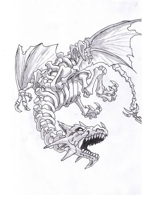 Dragon Skeleton Drawing, Dragon Tattoo Template, Skeleton Dragon Tattoo, Dragon Skeleton Tattoo, Skeletal Dragon, Dragon Hand Tattoo, Dragon Skeleton, 3d Skeleton, Dragon Tattoo Ideas