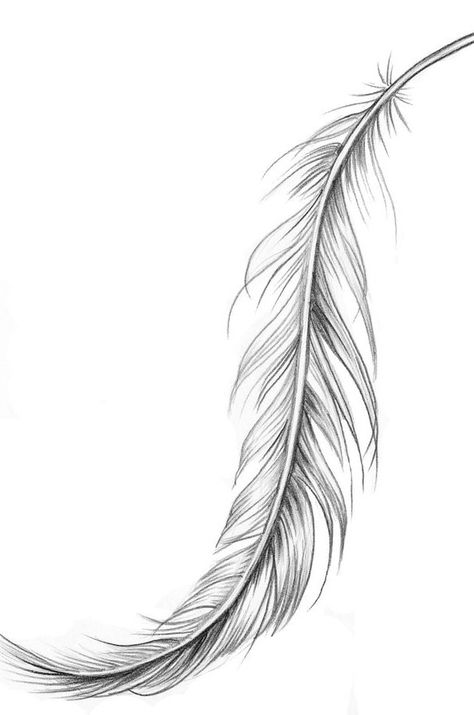 feather | Tattoo Ideas Central Feather Tat, Eagle Feather Tattoos, Feather Tattoo Meaning, Feather Drawing, Feather Tattoo Design, Feather Tattoo, Feather Tattoos, Trendy Tattoos, Skin Art