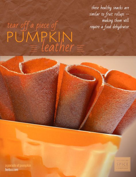 [ Recipe: Pumpkin Leather ] ~ from Monterey Bay Spice Co Pumpkin Leather Recipe, Fruit Roll Ups Homemade, Fruit Leather Dehydrator, Fruit Rollups, Fruit Leathers, Pumpkin Fruit, Dehydrating Food Storage, Homemade Fruit Leather, Fruit Leather Recipe