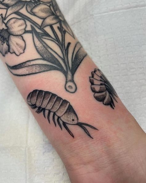 Rollie Pollie Tattoo, Roly Poly Tattoo, Rolly Polly Tattoo, Isopod Tattoo, Rollie Pollie, Portland Tattoo, Bug Tattoo, Temple Art, Name Tattoo