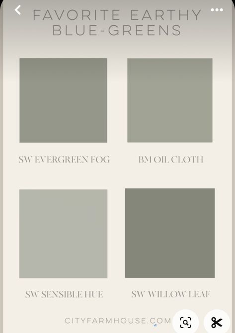 Greyish Green Paint, Green Gray Paint, Soft Green Paint, Floral Packaging, Green Grey Paint, Taupe Paint, Greenish Grey, Paint Color Inspiration, Willow Leaf