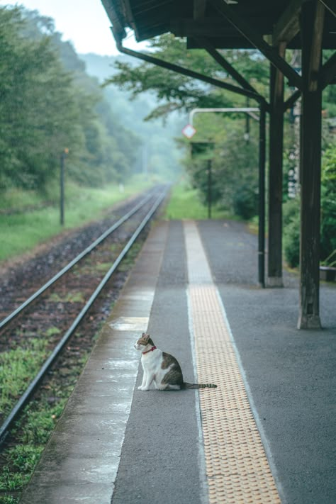 Japan Countryside, Rural Photography, Japanese Countryside, Bg Design, Arte Grunge, One Point Perspective, Japanese Photography, Japan Photography, Scenery Photography