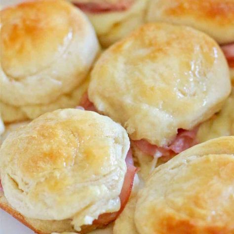 Honey Ham Biscuits, Honey Mustard Salad Dressing, Ham Biscuits, Honey Ham, Country Ham, Delicious Clean Eating, Chicken And Biscuits, Country Cook, The Country Cook