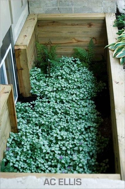 Plant ivy or another clinging plant on the wall of an egress window well. Once it has all grown over, you’ll have some greenery to look out on! Egress Window Landscaping, Egress Window Well, Basement Window Well, Window Wells, Basement Window, Basement Redo, Planter Window, Basement Living, Window Plants