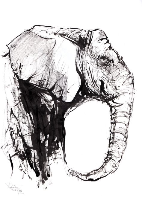 Animals Ink Drawing, Elephant Ink Drawing, Loose Ink Sketches, Ink Sketches Sketchbooks, Ink Brush Drawing, Scribble Drawings, Ink Animals, Black Ink Art, Arte Aesthetic