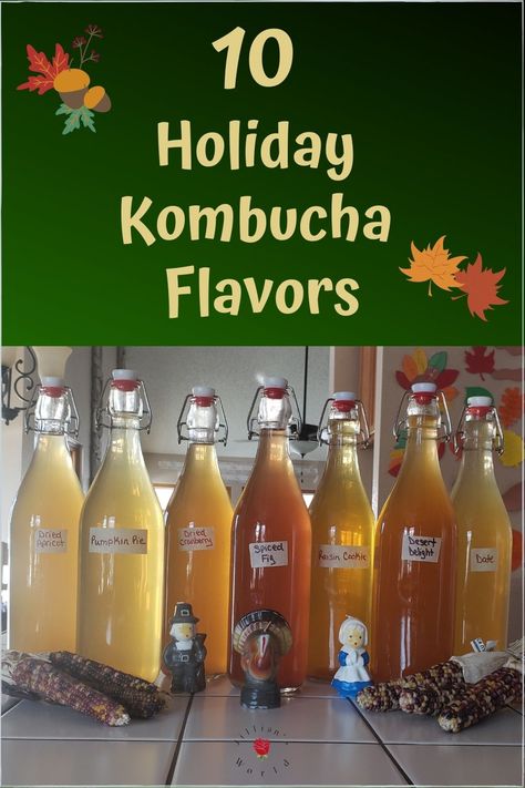 Christmas Kombucha, Cranberry Kombucha, Fermented Beverages, Fermented Recipes, Fermented Drinks, Kombucha Flavors, Cranberry Cinnamon, Kombucha Recipe, Drinks Recipe