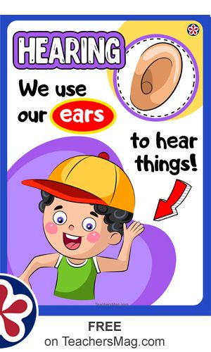 Hearing: We use our ears to hear things! Display these free posters in your room as you learn about or review the 5 senses!