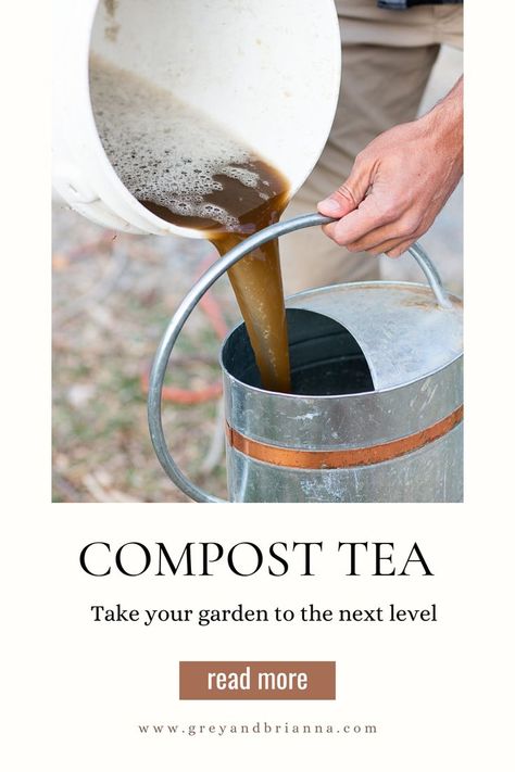 compost tea pouring into watering can Compost Tea Brewer Diy, What Is Compost, Compost Tea Recipe, Compost Tea Brewer, Make Compost, Recipe For Beginners, Diy Compost, How To Make Compost, Tea Brewer