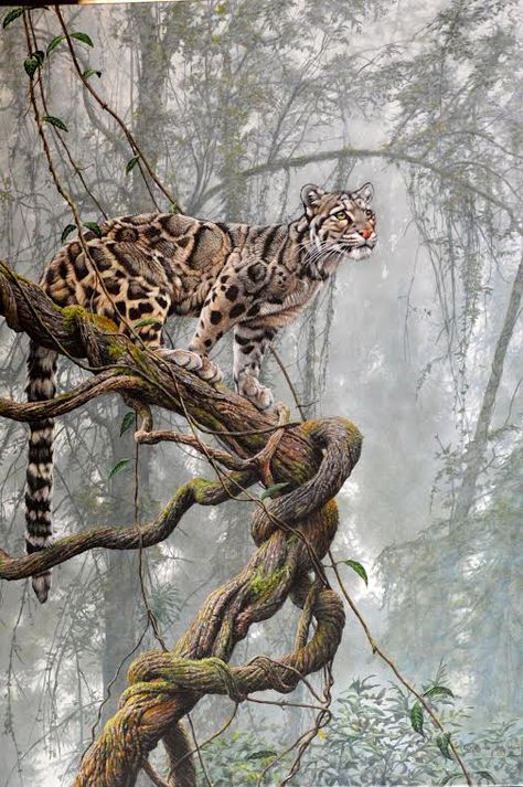 Cloud Walker original painting by Alan M Hunt, Clouded Leopard #alanmhunt #wildlife #wildlifeart #wildlifeartist #leopard #cloudedleopard Leopard Artwork, Cloud Walker, Bull Elephant, Leopard Painting, Regnul Animal, Leopard Art, Clouded Leopard, Big Cats Art, Japon Illustration