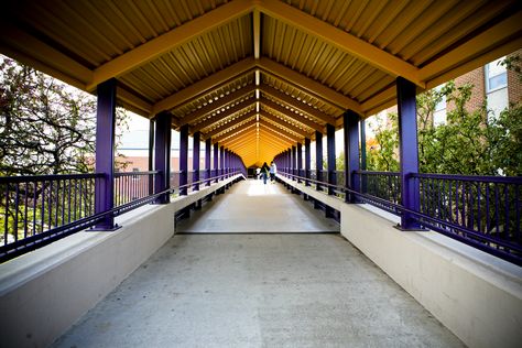 Favorite photo of the walkway at Ashland University. Ashland University Ohio, Alma Mater, Walkway, Eagles, Cool Photos, Ohio, University, Lifestyle