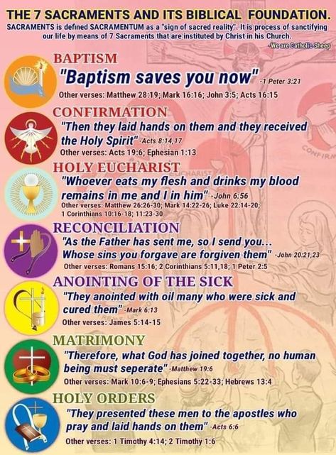 Seven Heavenly Virtues, 7 Sacraments, Acts 8, 1 Peter 3, Matthew 28 19, Eucharist, Jesus Pictures, Holy Spirit, Save Yourself