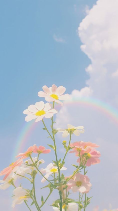 Aesthetic flower and rainbow pastel on large pink blue sky landscape wallpaper outdoors nature summer. | premium image by rawpixel.com Cute Aesthetic Wallpaper Flowers, Blue Pink Aesthetic Pastel, Aesthetic Flowers Wallpaper Pastel, Sky Blue Aesthetic Wallpaper Iphone, Daisies Wallpaper Aesthetic, Summer Aesthetic Wallpapers, Cute Aesthetic Wallpapers Iphone, Cute Wallpapers Spring, Sky Blue Wallpaper Iphone