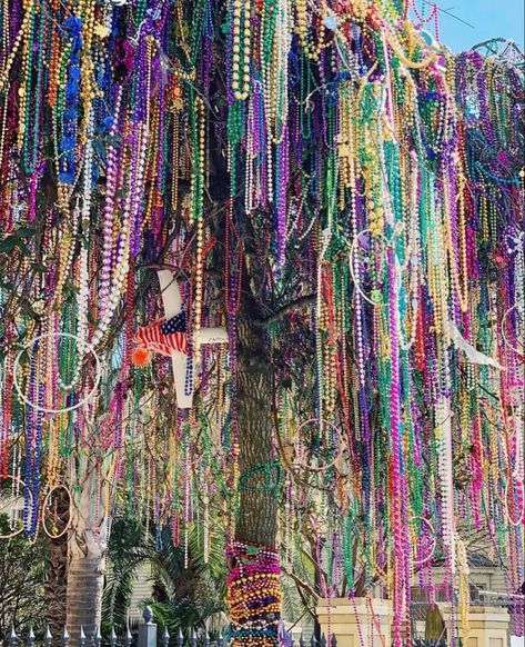 New Orleans Louisiana Mardi Gras Mardi Gras Party Aesthetic, French Quarter Themed Party, Louisiana Mardi Gras Aesthetic, New Orleans Mardi Gras Pictures, Mardi Gras Louisiana, Mardi Gras Themed Wedding, New Orleans Mardi Gras Aesthetic, New Orleans Culture, Roadhouse 2024