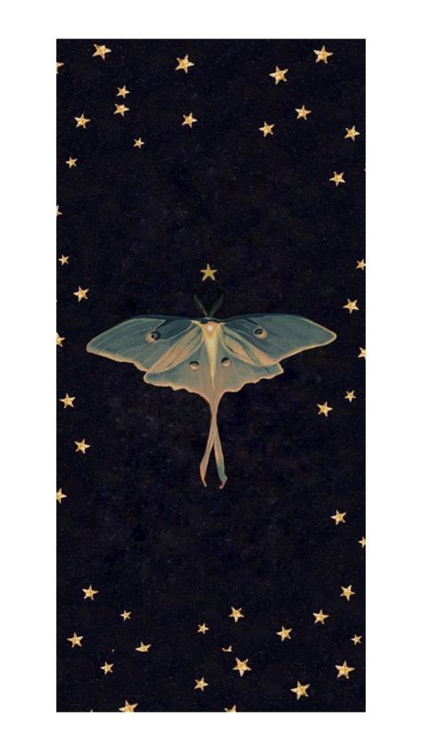 Luna Moth Wallpaper, Luna Moth Art, Moth Wallpaper, Moth Art, Luna Moth, Moth, Art