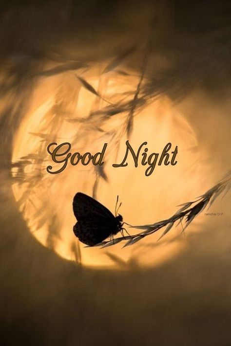 Goodnight Images, Good Night Sleep Well, Photos Of Good Night, Good Night World, New Good Night Images, Good Night Dear, Lovely Good Night, Good Night Beautiful, Goodnight Quotes