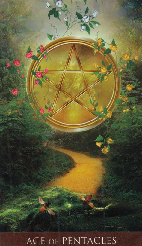 Ace Of Pentacles, Pentacles, Reading