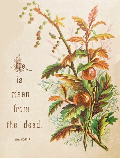 He Has Risen Bible Journaling, God Has Risen Easter, He Is Risen Cards, Jesus Is Risen Illustration, Christ Risen Easter, Cottagecore Homes, Night Illustration, Resurrection Sunday, Journal Stuff