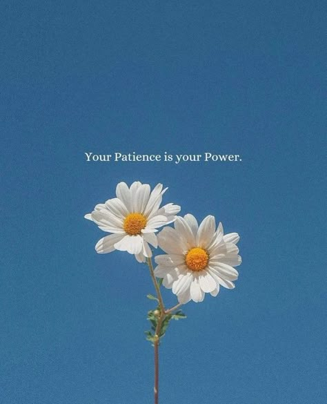 Motivational Quotes Inspirational Words Positive Affirmations Encouragement Empowerment Success Quotes Life Goals Dream Big Believe in Yourself Be Fearless Never Give Up Overcome Challenges Rise and Shine Keep Going Stay Strong Embrace Change Find Your Purpose Inner Strength Growth Mindset Positive Vibes Inspire Others Dare to Dream Pursue Your Passion Learn from Failures Thrive in Adversity Turn Obstacles into Opportunities Self-Improvement Be Resilient Your Patience Is Your Power, Nature Quotes Beautiful, Words Positive, Keep Going Quotes, Be Resilient, Positive Quotes Wallpaper, Tiny Quotes, Find Your Purpose, Strong Mind Quotes