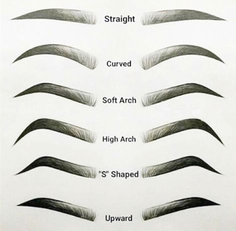 Medium Arch Eyebrows Shape, Upward Brows, Eyebrow Chart, Brow Shapes, Brow Lifting, Eyebrow Plucking, Oblong Face, Draw Eyebrows, Eyebrow Makeup Products