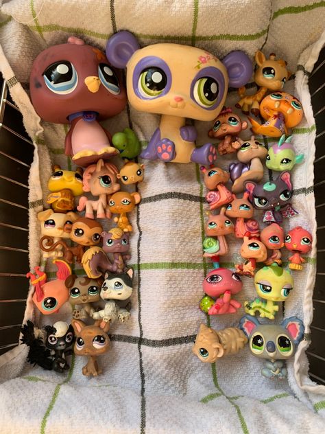 2000s Toys Childhood, Toys From 2000's, 2000s Girl Toys, Early 2000s Toys Nostalgia, Old Toys 2000s, Nostalgic Toys 2000s, Childhood Toys 2000s, Littlest Pet Shop 2000s, Littlest Pet Shop Aesthetic