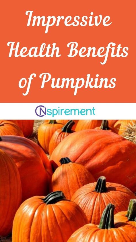 Pumpkins are a low-cost vegetable and are used in a wide variety of cooking and baking, as well as for decorating. But their nutritional value and health benefits are often overlooked. Pumpkins contain an abundance of nutrients such as protein, beta carotene, several B vitamins, vitamin C, calcium, and phosphorus, which are beneficial to human health and well-being. Pumpkin Health Benefits, B Vitamins, Beta Carotene, Nutritional Value, Canned Pumpkin, White Pumpkins, Vitamin B, Healthy Eats, Low Cost